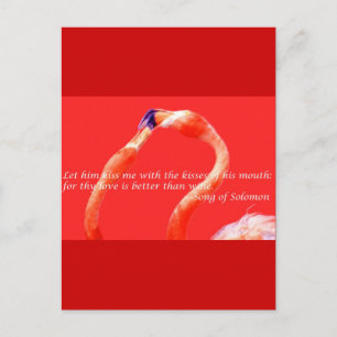 Kissing Flamingos Postcard
