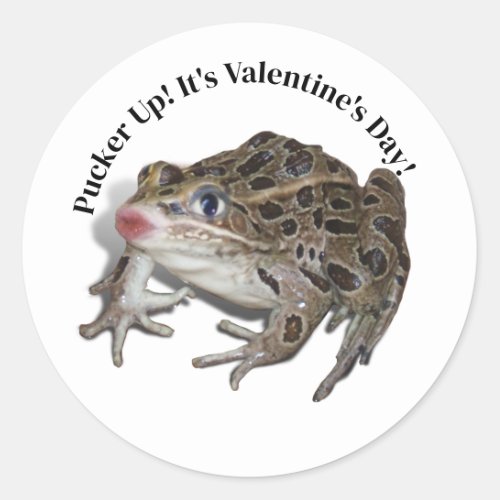Kissing Frog Valentine Classic Round Sticker