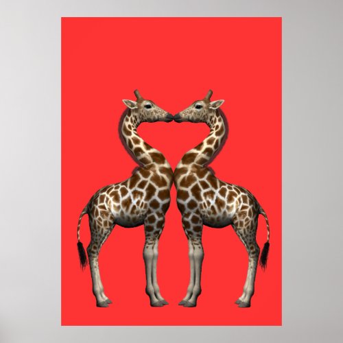 Kissing Giraffes Poster