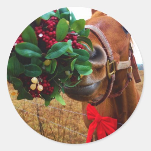 Kissing Horse under Mistletoe Classic Round Sticker