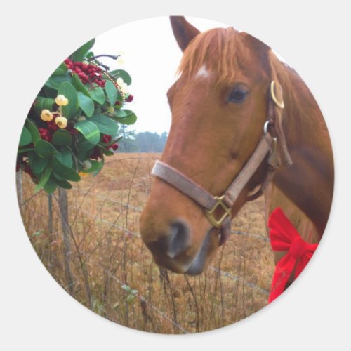 Kissing Horse under Mistletoe Classic Round Sticker