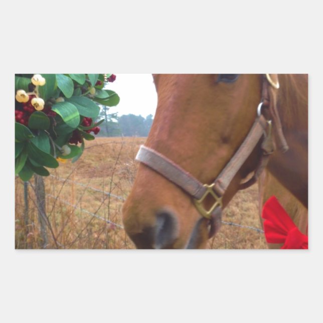 Kissing Horse under Mistletoe Rectangular Sticker (Front)