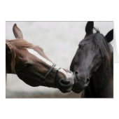 Kissing Horses (Front Horizontal)