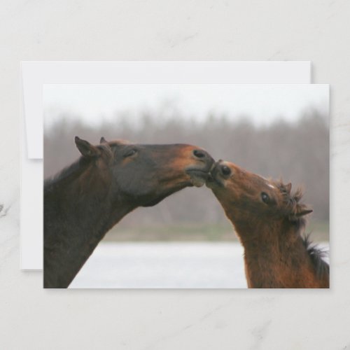 Kissing Horses Blank Card