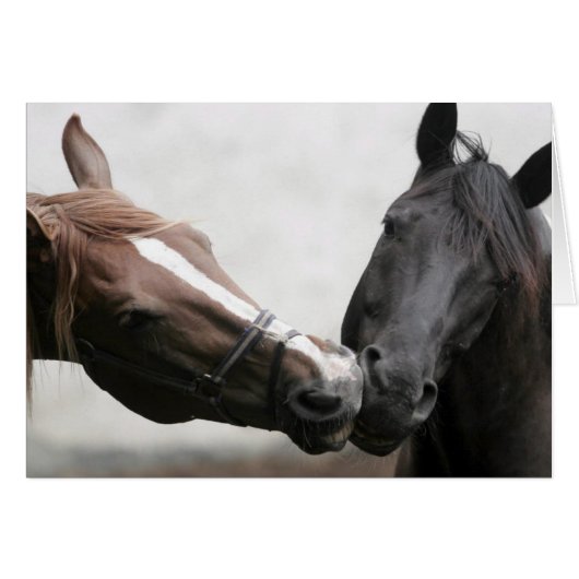 Kissing Horses Cards (Front Horizontal)
