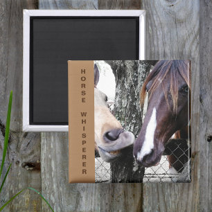 Kissing Horses Horse Whisperer Magnet