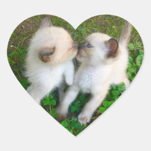 kissing kittens heart sticker