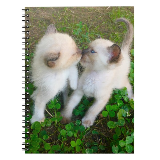 kissing kittens in clover notebook (Front)