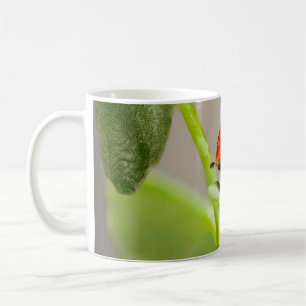 Kissing Ladybugs Coffee Mug