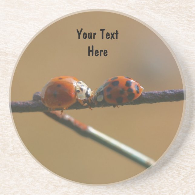 Kissing Ladybugs Cute Nature Drink Coaster (Front)