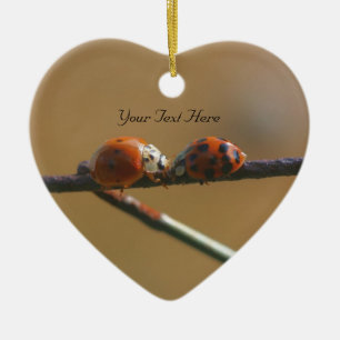 Kissing Ladybugs Cute Nature Ornament