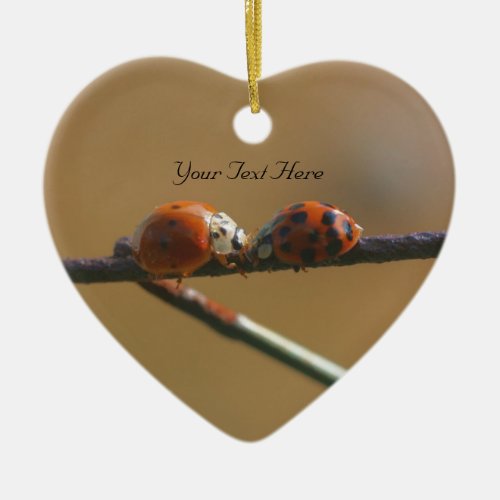 Kissing Ladybugs Cute Nature Ornament