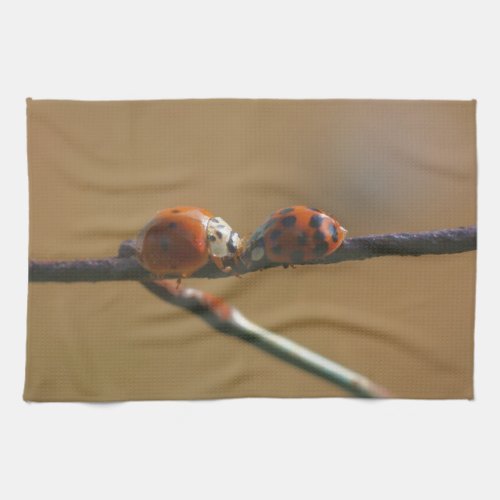 Kissing Ladybugs On A Wire Fence Close Up  Kitchen Towel