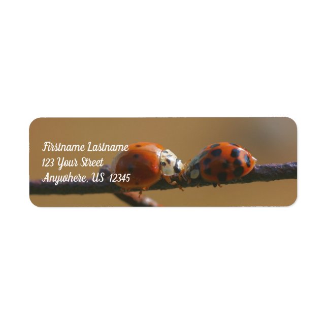Kissing Ladybugs On A Wire Fence Nature Address Label (Front)