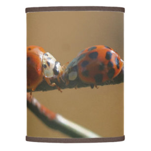 Kissing Ladybugs On A Wire Fence Nature Lamp Shade