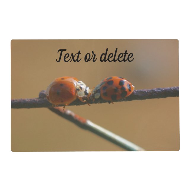 Kissing Ladybugs On A Wire Fence Personalized Placemat (Front)