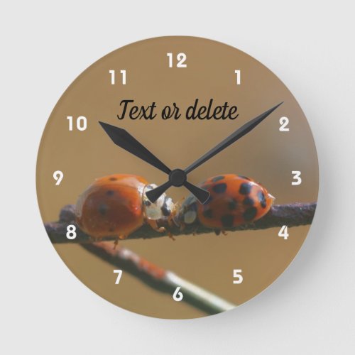 Kissing Ladybugs On A Wire Fence Personalized Round Clock