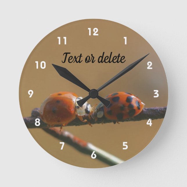 Kissing Ladybugs On A Wire Fence Personalized Round Clock (Front)