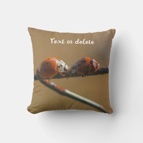 Kissing Ladybugs On A Wire Fence Personalized Throw Pillow