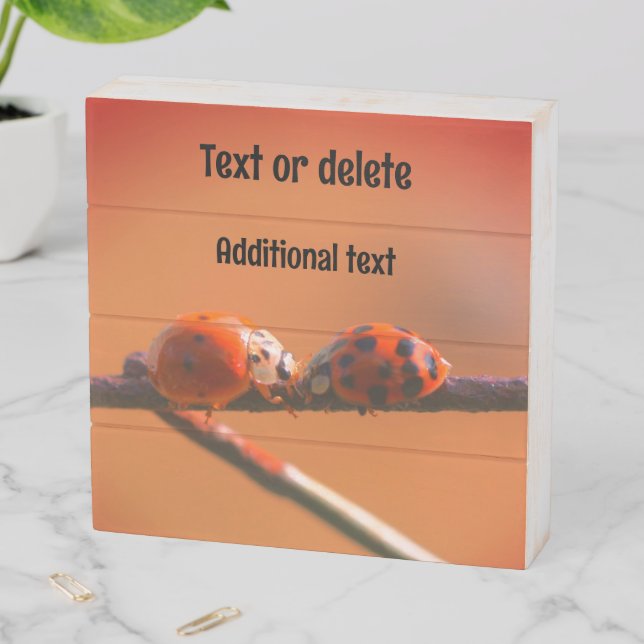 Kissing Ladybugs On A Wire Fence Personalized Wooden Box Sign (In Situ Horizontal)