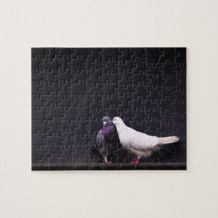 Kissing Love Birds Jigsaw Puzzle