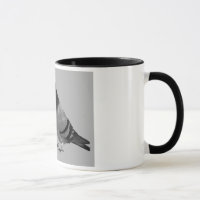 Kissing Pigeons Gift Mug