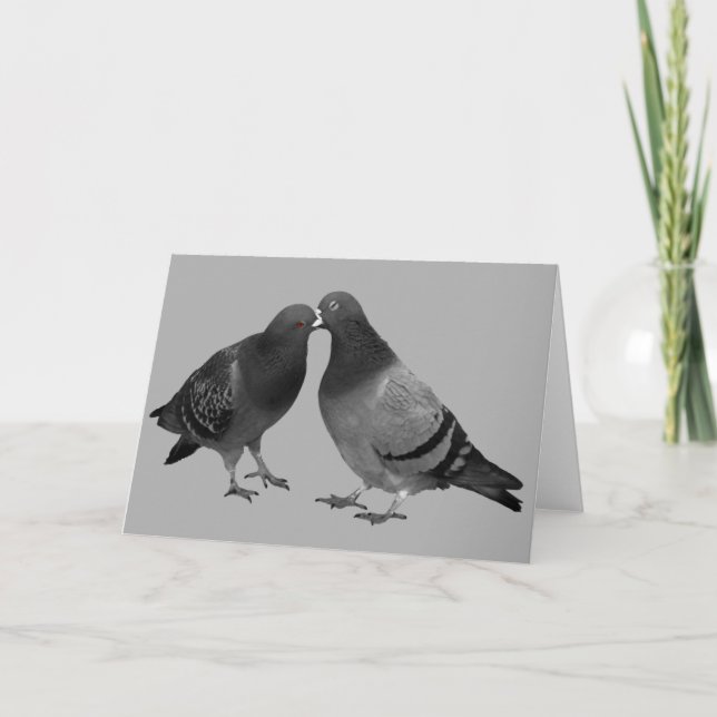 Kissing Pigeons Greeting Card (Front)