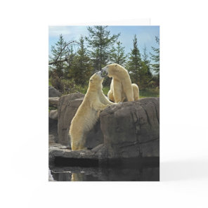 Kissing Polar Bears Card
