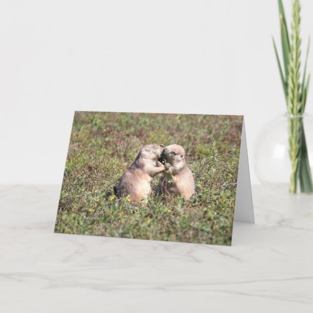 Kissing Prairie Dogs Card (Front)