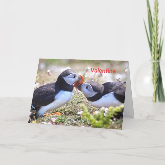 Kissing Puffins Card - Valentine (Front)