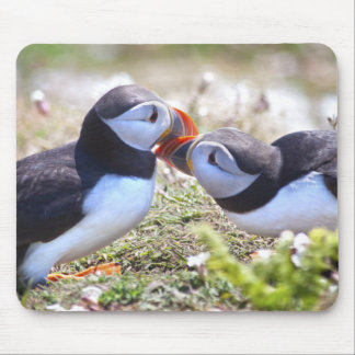 Kissing Puffins Mousemat Mouse Pad