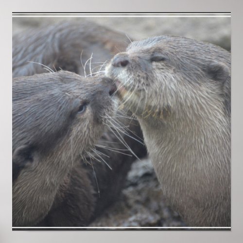 Kissing River Otters Poster