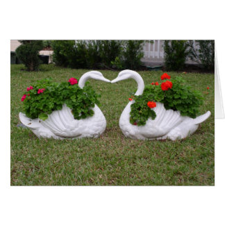 Kissing swans planters cards