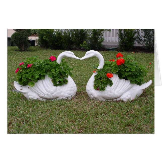 Kissing swans planters cards (Front Horizontal)