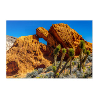 Kissing Turtle Rock Acrylic Print