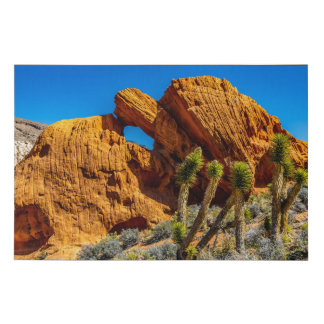 Kissing Turtle Rock Faux Canvas Print