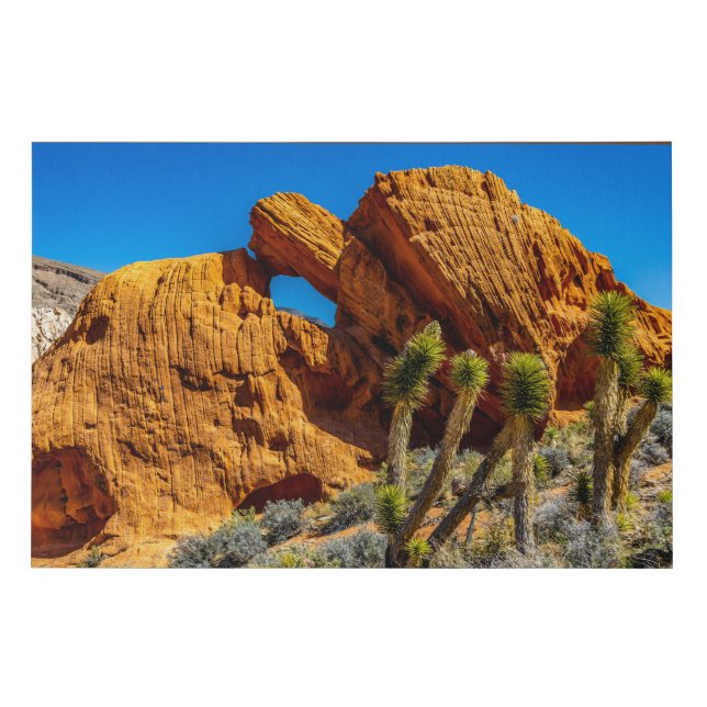 Kissing Turtle Rock Faux Canvas Print (Front)