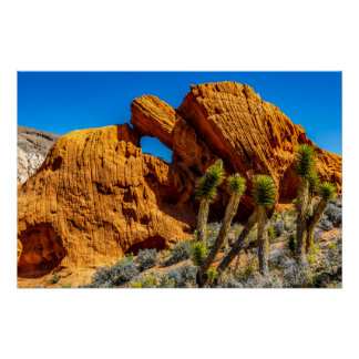 Kissing Turtle Rock Glossy Poster