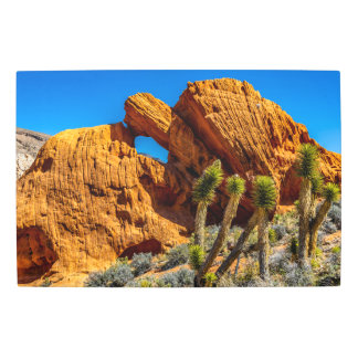 Kissing Turtle Rock Metal Print