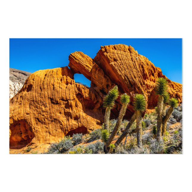 Kissing Turtle Rock Photo Print (Front)