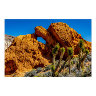 Kissing Turtle Rock Poster