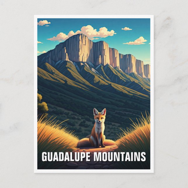 Kit Fox at Guadalupe Mountains National Park Postcard (Front)