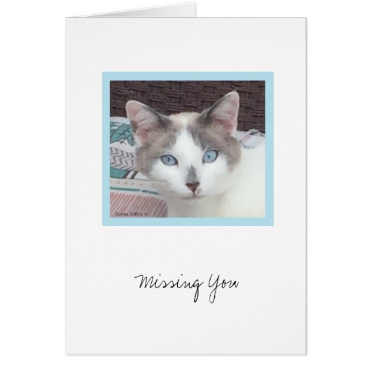 Kit Kit Collection #3 Note Card (Front)