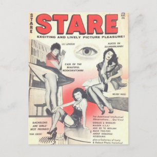 Kitch vintage pin up postcard