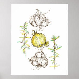 Kitchen Art Onions Garlic Rosemary Herb Drawing Poster