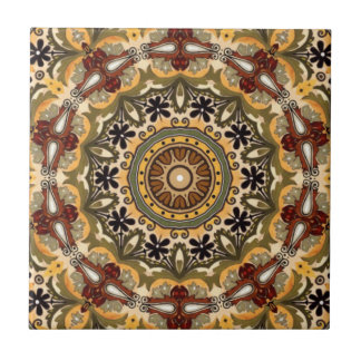 Kitchen ~ Backsplash Accent Tile ~ Tuscan Colors ~
