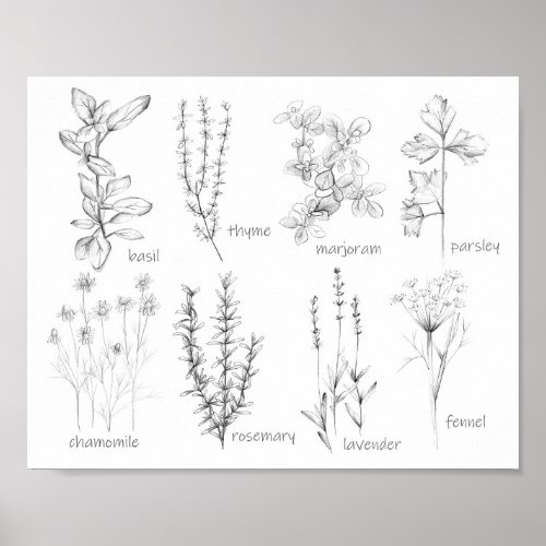 Kitchen Cooking Herbs Rosemary Basil Marjoram  Poster