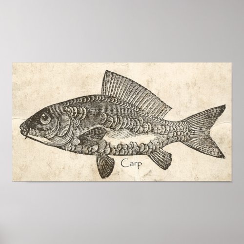 Kitchen Decor Wall Art Vintage Carp Koi Fish