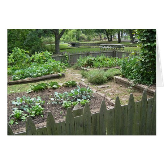 Kitchen Garden II Cards (Front Horizontal)