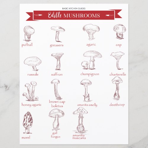 Kitchen Guide  Edible Mushrooms